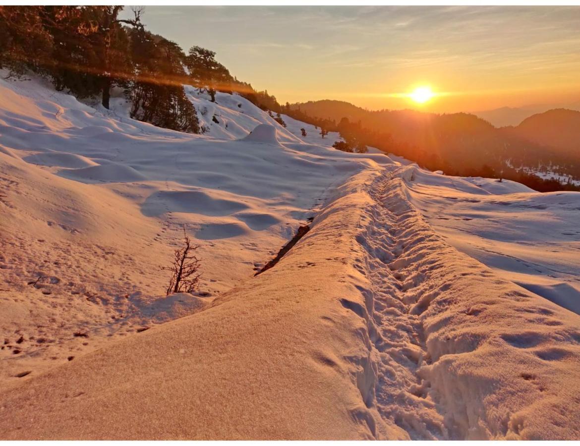 Chopta Wildlife Camps Resorts, Chopta Экстерьер фото