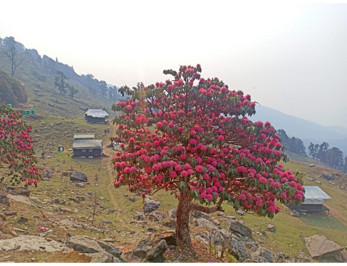 Chopta Wildlife Camps Resorts, Chopta Экстерьер фото