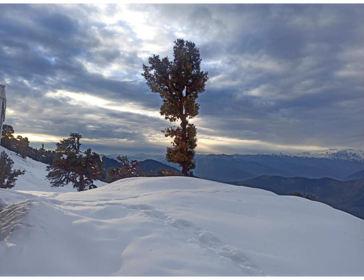 Chopta Wildlife Camps Resorts, Chopta Экстерьер фото