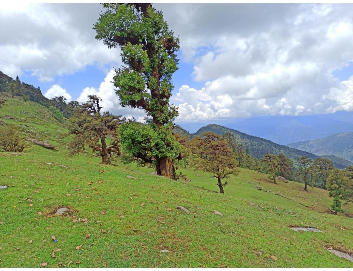 Chopta Wildlife Camps Resorts, Chopta Экстерьер фото